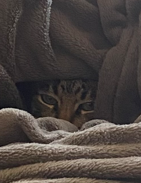 Cooch’s pesadelo Blank Meme Template