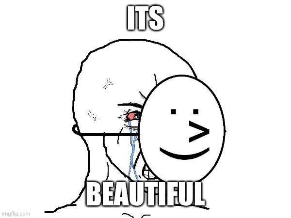 ITS BEAUTIFUL | made w/ Imgflip meme maker