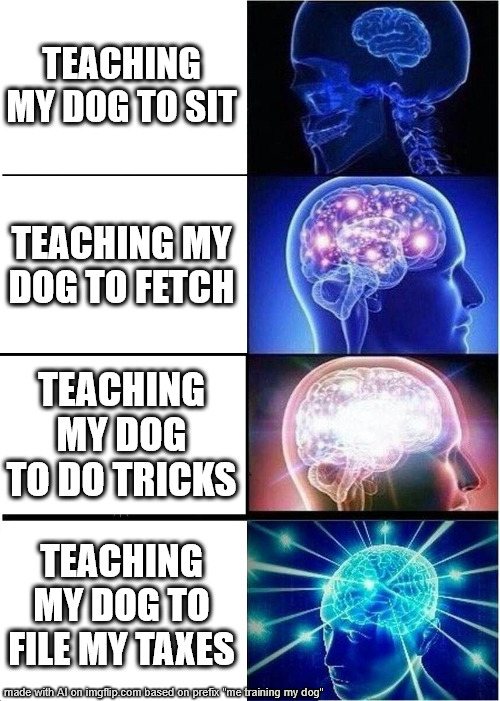 me training my dog stages | TEACHING MY DOG TO SIT; TEACHING MY DOG TO FETCH; TEACHING MY DOG TO DO TRICKS; TEACHING MY DOG TO FILE MY TAXES | image tagged in memes,expanding brain,dogs | made w/ Imgflip meme maker