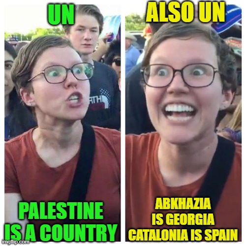 Recognition 2 | ALSO UN; UN; ABKHAZIA IS GEORGIA CATALONIA IS SPAIN; PALESTINE IS A COUNTRY | image tagged in social justice warrior hypocrisy,funny,memes,georgia,palestine | made w/ Imgflip meme maker