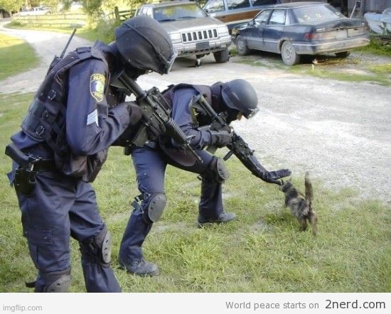 Fight Crime LAter, Pet Kitty Now | image tagged in fight crime later pet kitty now | made w/ Imgflip meme maker
