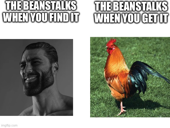 Grow a garden meme | THE BEANSTALKS WHEN YOU FIND IT; THE BEANSTALKS WHEN YOU GET IT | image tagged in blank white template,roblox,giga chad,chicken | made w/ Imgflip meme maker
