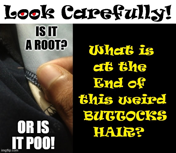 Defective Detectives... ONLY! | IS IT A ROOT? OR IS IT POO! | image tagged in vince vance,hair,strand,root,memes,mystery | made w/ Imgflip meme maker
