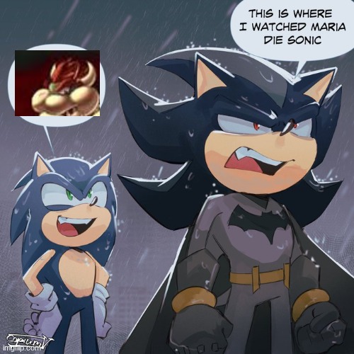 Shadow and sonic | image tagged in shadow and sonic | made w/ Imgflip meme maker