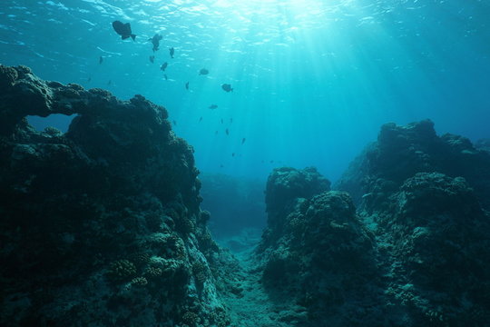 sea grotto Blank Meme Template