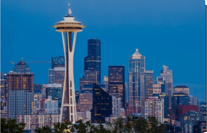 space needle with Leopard Blank Meme Template