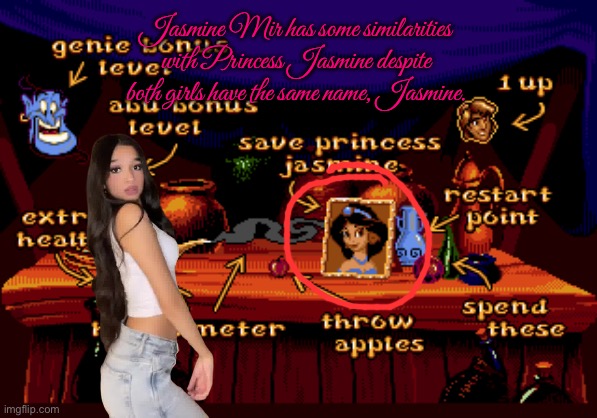 Both Girls are Named Jasmine | Jasmine Mir has some similarities with Princess Jasmine despite both girls have the same name, Jasmine. | image tagged in disney,disney princess,instagram,tiktok,youtube,girls | made w/ Imgflip meme maker