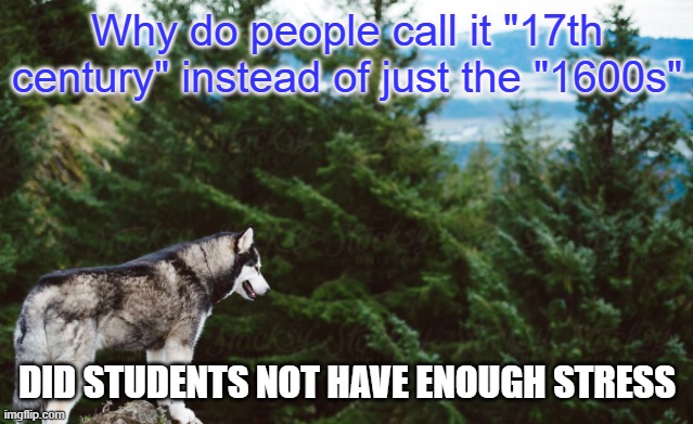 Husky | Why do people call it "17th century" instead of just the "1600s"; DID STUDENTS NOT HAVE ENOUGH STRESS | image tagged in husky | made w/ Imgflip meme maker