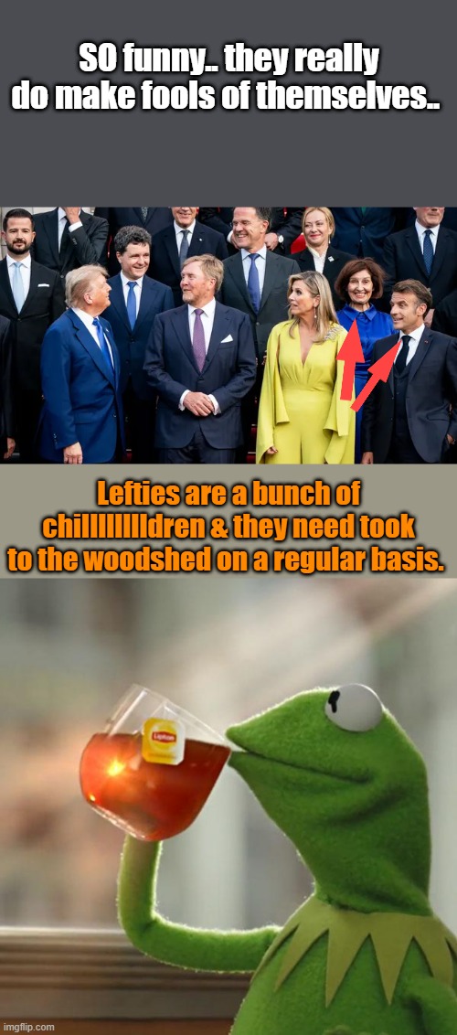 SO funny.. they really do make fools of themselves.. Lefties are a bunch of chilllllllldren & they need took to the woodshed on a regular basis. | image tagged in memes,but that's none of my business | made w/ Imgflip meme maker