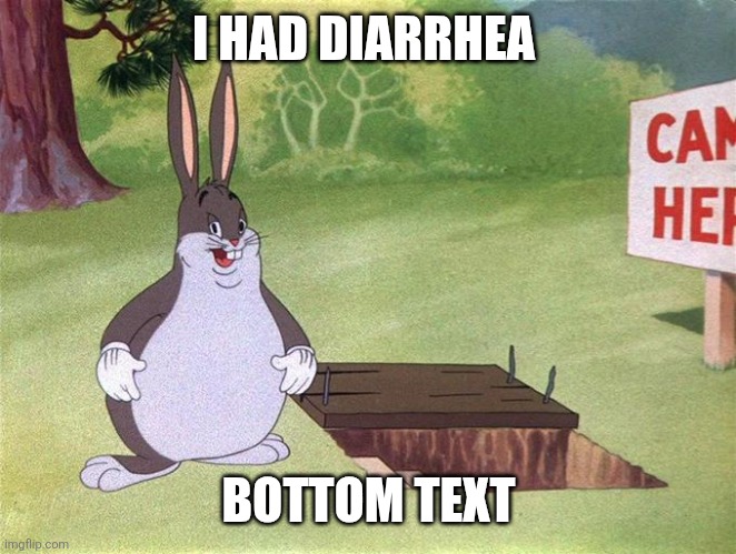 Big Chungus | I HAD DIARRHEA; BOTTOM TEXT | image tagged in big chungus | made w/ Imgflip meme maker