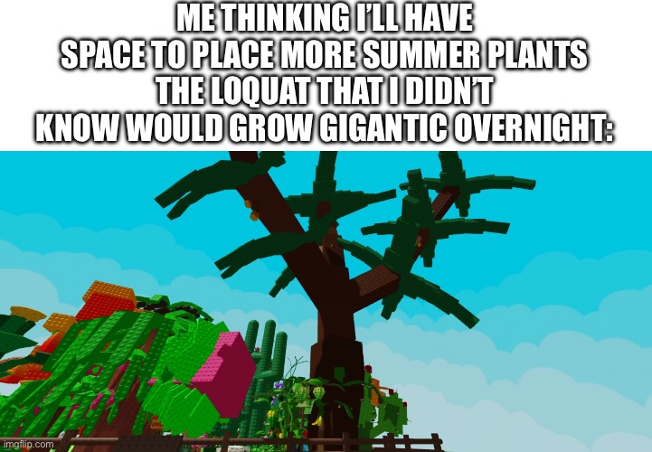I play other roblox games, I don’t wait for my plants to grow in the game | ME THINKING I’LL HAVE SPACE TO PLACE MORE SUMMER PLANTS
THE LOQUAT THAT I DIDN’T KNOW WOULD GROW GIGANTIC OVERNIGHT: | image tagged in roblox,you have been eternally cursed for reading the tags | made w/ Imgflip meme maker