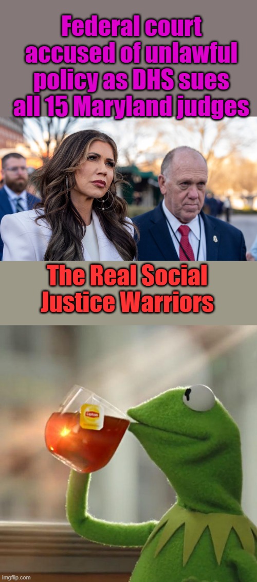 Federal court accused of unlawful policy as DHS sues all 15 Maryland judges; The Real Social Justice Warriors | image tagged in memes,but that's none of my business | made w/ Imgflip meme maker