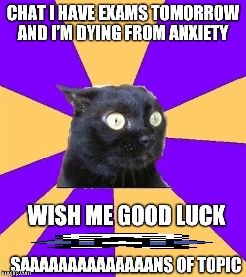 anxiety cat | CHAT I HAVE EXAMS TOMORROW AND I'M DYING FROM ANXIETY; WISH ME GOOD LUCK; SAAAAAAAAAAAAAANS OF TOPIC | image tagged in anxiety cat,sherlock was here | made w/ Imgflip meme maker