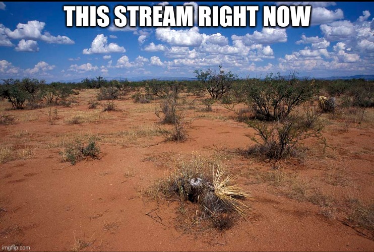 very dry right now | THIS STREAM RIGHT NOW | image tagged in dessert | made w/ Imgflip meme maker