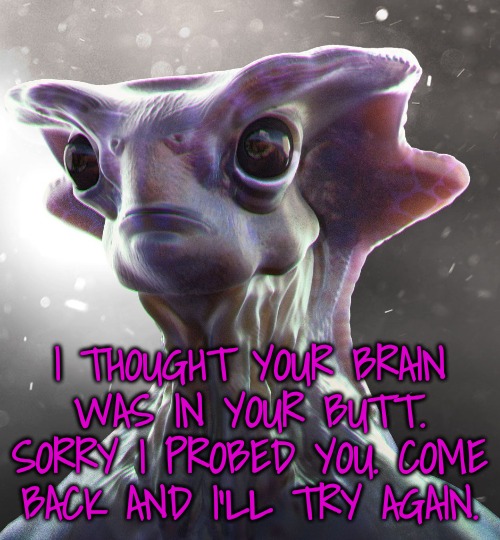 Alien face | I THOUGHT YOUR BRAIN WAS IN YOUR BUTT. SORRY I PROBED YOU. COME BACK AND I'LL TRY AGAIN. | image tagged in alien face | made w/ Imgflip meme maker