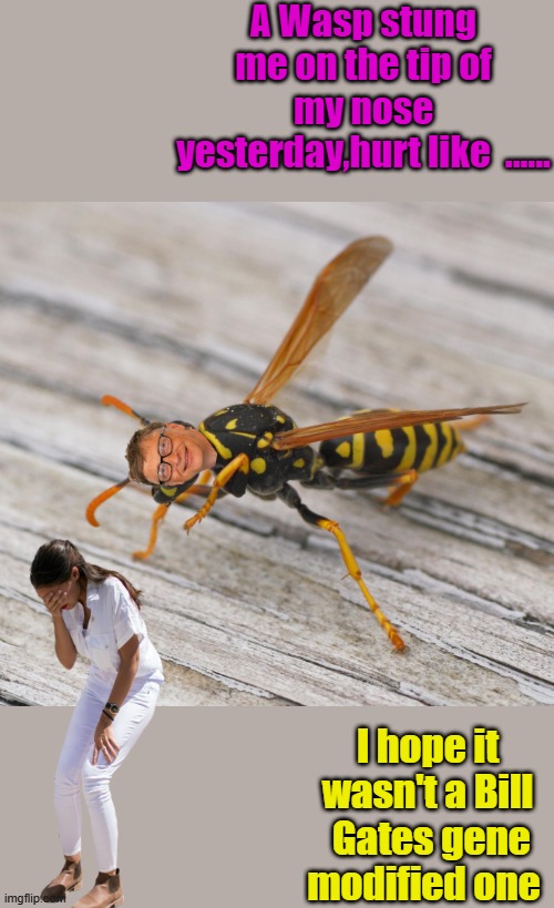 A Wasp stung me on the tip of my nose yesterday,hurt like  ...... I hope it wasn't a Bill  Gates gene modified one | made w/ Imgflip meme maker