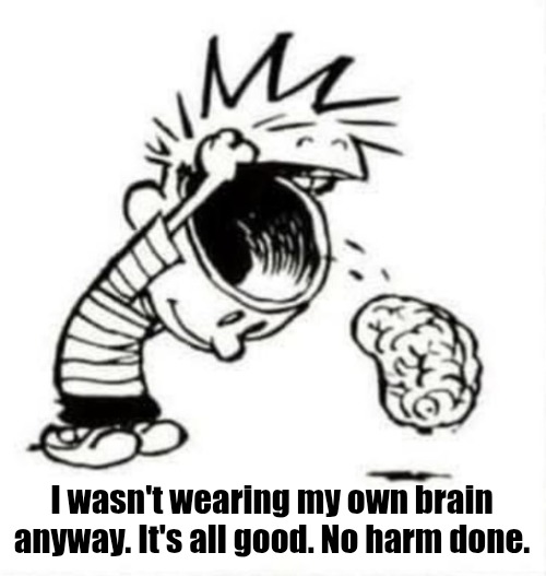 Have you lost your mind | I wasn't wearing my own brain anyway. It's all good. No harm done. | image tagged in have you lost your mind | made w/ Imgflip meme maker