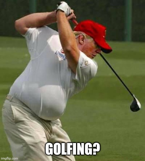 trump golf gut | GOLFING? | image tagged in trump golf gut | made w/ Imgflip meme maker