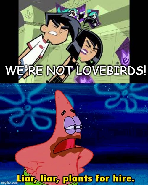 Lovebirds | WE'RE NOT LOVEBIRDS! | image tagged in danny phantom,nickelodeon,liar liar pants on fire,patrick | made w/ Imgflip meme maker