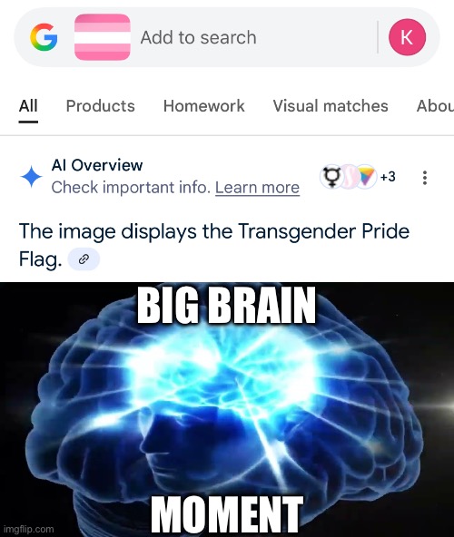 ah yes the catgirlgender flag, truly my favorite trans flag. | BIG BRAIN; MOMENT | image tagged in but you didn't have to cut me off,memes | made w/ Imgflip meme maker