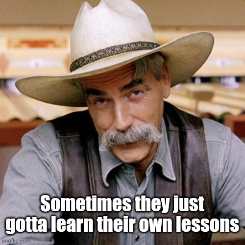 SARCASM COWBOY | Sometimes they just gotta learn their own lessons | image tagged in sarcasm cowboy | made w/ Imgflip meme maker