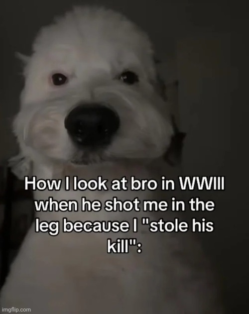 image tagged in memes,msmg,shitpost | made w/ Imgflip meme maker