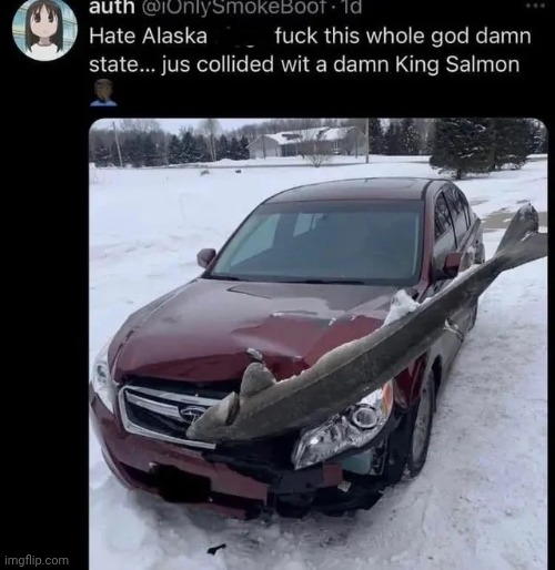 Insurance nightmare | image tagged in memes,msmg,shitpost | made w/ Imgflip meme maker
