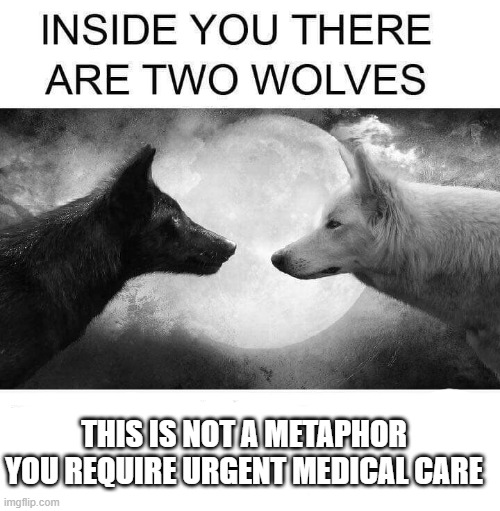guh | THIS IS NOT A METAPHOR
YOU REQUIRE URGENT MEDICAL CARE | image tagged in inside you there are two wolves | made w/ Imgflip meme maker