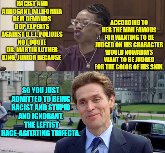 Arrogance and stupidity . . . mostly. | RACIST AND ARROGANT CALIFORNIA DEM DEMANDS GOP EXPERTS AGAINST D.E.I. POLICIES NOT QUOTE DR. MARTIN LUTHER KING, JUNIOR BECAUSE; ACCORDING TO HER THE MAN FAMOUS FOR WANTING TO BE JUDGED ON HIS CHARACTER WOULD NOWADAYS WANT TO BE JUDGED FOR THE COLOR OF HIS SKIN. SO YOU JUST ADMITTED TO BEING RACIST AND STUPID AND IGNORANT.  THE LEFTIST RACE-AGITATING TRIFECTA. | image tagged in yep | made w/ Imgflip meme maker