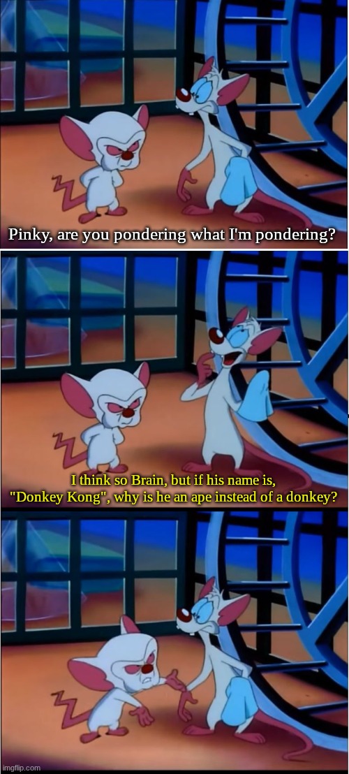 Gaming mystery | Pinky, are you pondering what I'm pondering? I think so Brain, but if his name is, "Donkey Kong", why is he an ape instead of a donkey? | image tagged in are you pondering what i'm pondering,memes,funny,gaming,donkey kong | made w/ Imgflip meme maker