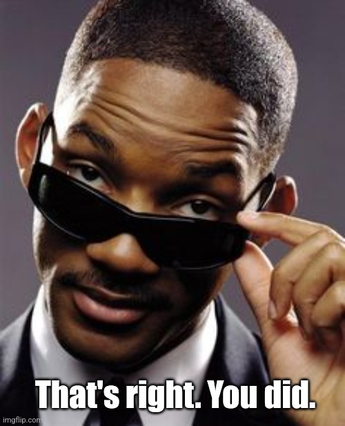 will smith men in black | That's right. You did. | image tagged in will smith men in black | made w/ Imgflip meme maker
