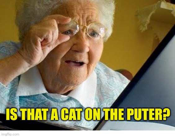 old lady at computer | IS THAT A CAT ON THE PUTER? | image tagged in old lady at computer | made w/ Imgflip meme maker