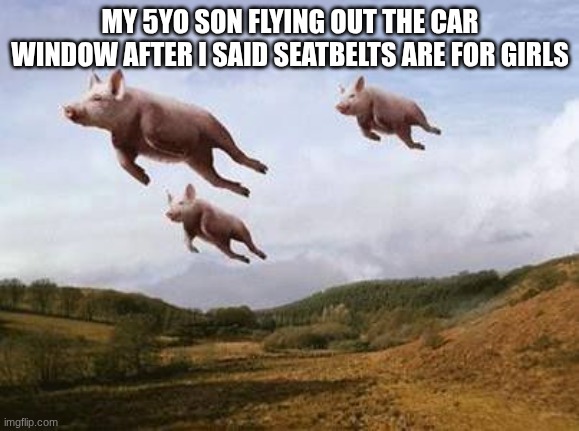 5 year old me | MY 5YO SON FLYING OUT THE CAR WINDOW AFTER I SAID SEATBELTS ARE FOR GIRLS | image tagged in pigs fly | made w/ Imgflip meme maker