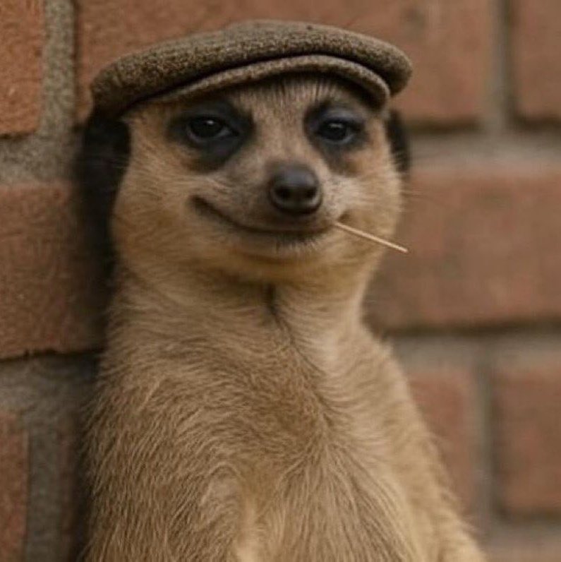 Funny hat Blank Meme Template