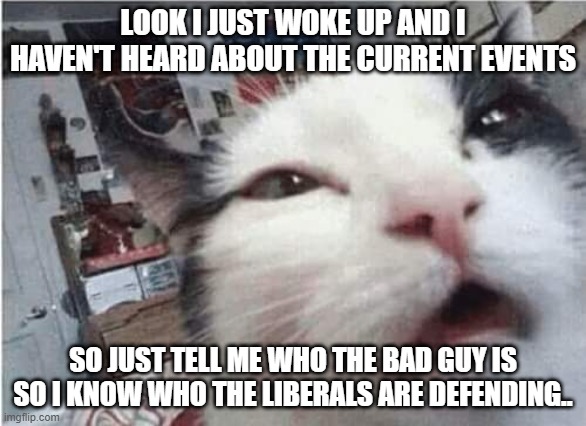 Cat waking up | LOOK I JUST WOKE UP AND I HAVEN'T HEARD ABOUT THE CURRENT EVENTS; SO JUST TELL ME WHO THE BAD GUY IS SO I KNOW WHO THE LIBERALS ARE DEFENDING.. | image tagged in cat waking up | made w/ Imgflip meme maker