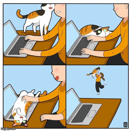 Awwww… | image tagged in cats,comics,pay attention to me,lets play | made w/ Imgflip meme maker