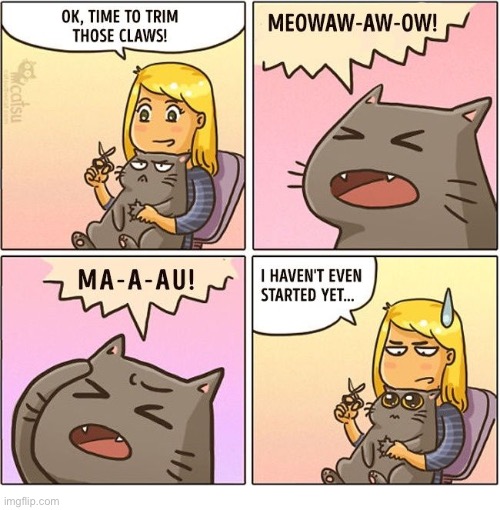 Preparing for the worst… | image tagged in cats,comics,nail trimming,anticipation | made w/ Imgflip meme maker