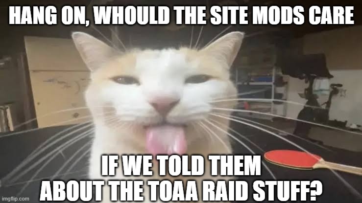 Just asking. | HANG ON, WHOULD THE SITE MODS CARE; IF WE TOLD THEM ABOUT THE TOAA RAID STUFF? | image tagged in milly the silly cat bleh cat | made w/ Imgflip meme maker