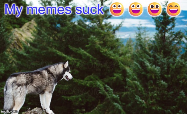Husky | My memes suck 😀😀😃😄 | image tagged in husky | made w/ Imgflip meme maker