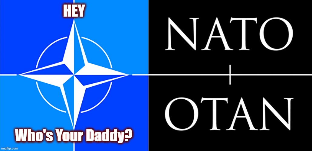 America Is Once Again The Alpha On The World Stage | HEY; Who's Your Daddy? | image tagged in politics,american politics,nato,maga,trump,international politics | made w/ Imgflip meme maker