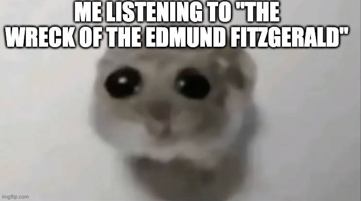 this is a true story | ME LISTENING TO "THE WRECK OF THE EDMUND FITZGERALD" | image tagged in sad hamster | made w/ Imgflip meme maker