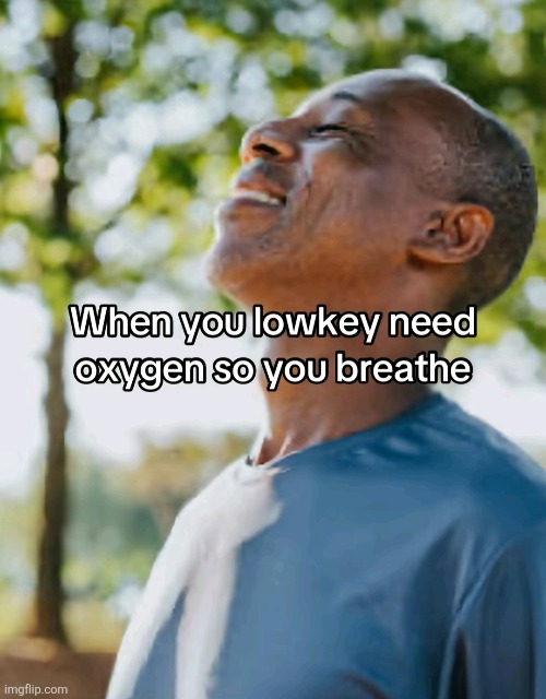 image tagged in memes | made w/ Imgflip meme maker