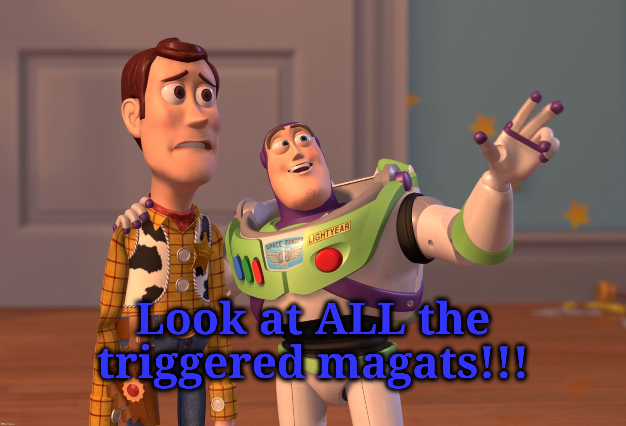 Look at ALL the triggered magats!!! | image tagged in memes,x x everywhere | made w/ Imgflip meme maker