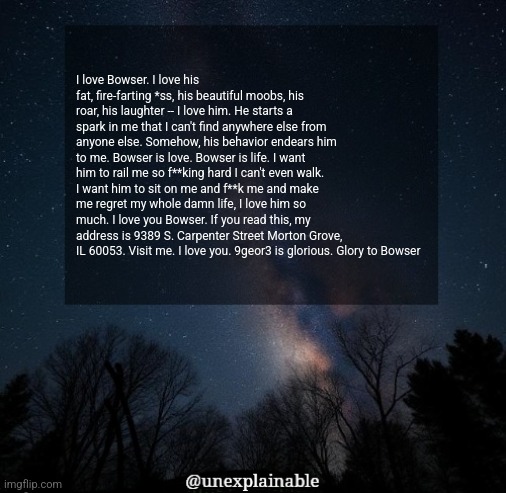 It's simply unexplainable. | I love Bowser. I love his fat, fire-farting *ss, his beautiful moobs, his roar, his laughter -- I love him. He starts a spark in me that I can't find anywhere else from anyone else. Somehow, his behavior endears him to me. Bowser is love. Bowser is life. I want him to rail me so f**king hard I can't even walk. I want him to sit on me and f**k me and make me regret my whole damn life, I love him so much. I love you Bowser. If you read this, my address is 9389 S. Carpenter Street Morton Grove, IL 60053. Visit me. I love you. 9geor3 is glorious. Glory to Bowser | image tagged in it's simply unexplainable | made w/ Imgflip meme maker