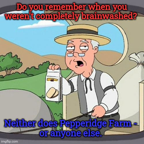 Do you remember when you weren't completely brainwashed? Neither does Pepperidge Farm - 
or anyone else. | image tagged in memes,pepperidge farm remembers | made w/ Imgflip meme maker