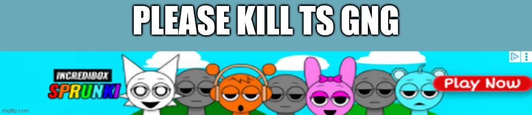 these ads are NOT personalized | PLEASE KILL TS GNG | made w/ Imgflip meme maker