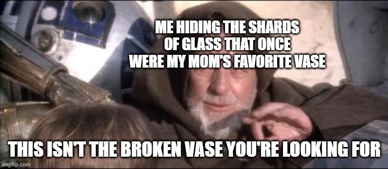 These Aren't The Droids You Were Looking For Meme | ME HIDING THE SHARDS OF GLASS THAT ONCE WERE MY MOM'S FAVORITE VASE; THIS ISN'T THE BROKEN VASE YOU'RE LOOKING FOR | image tagged in memes,these aren't the droids you were looking for | made w/ Imgflip meme maker