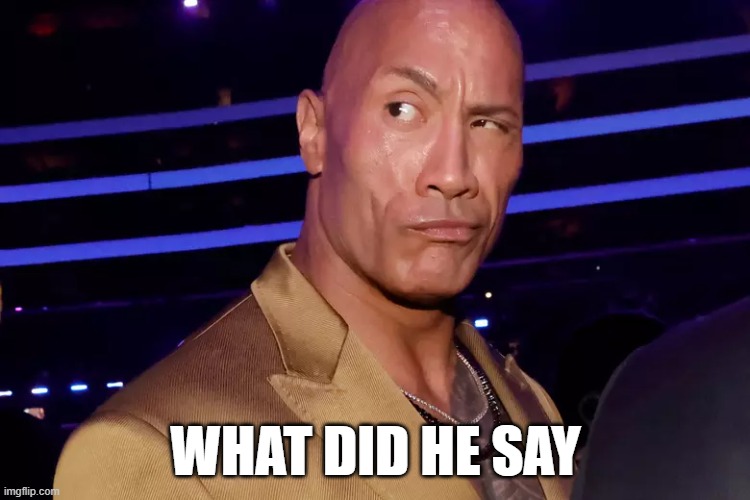 hell nah | WHAT DID HE SAY | image tagged in the rock eyebrows,the rock,what did you say | made w/ Imgflip meme maker
