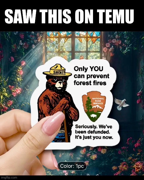 Smokey the Bear | image tagged in national park service,forest fire,smokey the bear,impeach trump | made w/ Imgflip meme maker