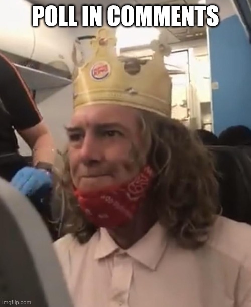 Burger King Crown Airplane | POLL IN COMMENTS | image tagged in burger king crown airplane | made w/ Imgflip meme maker